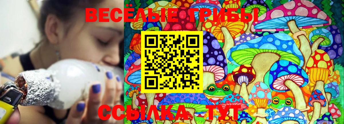 Галлюциногенные грибы Cubensis  Кулебаки 