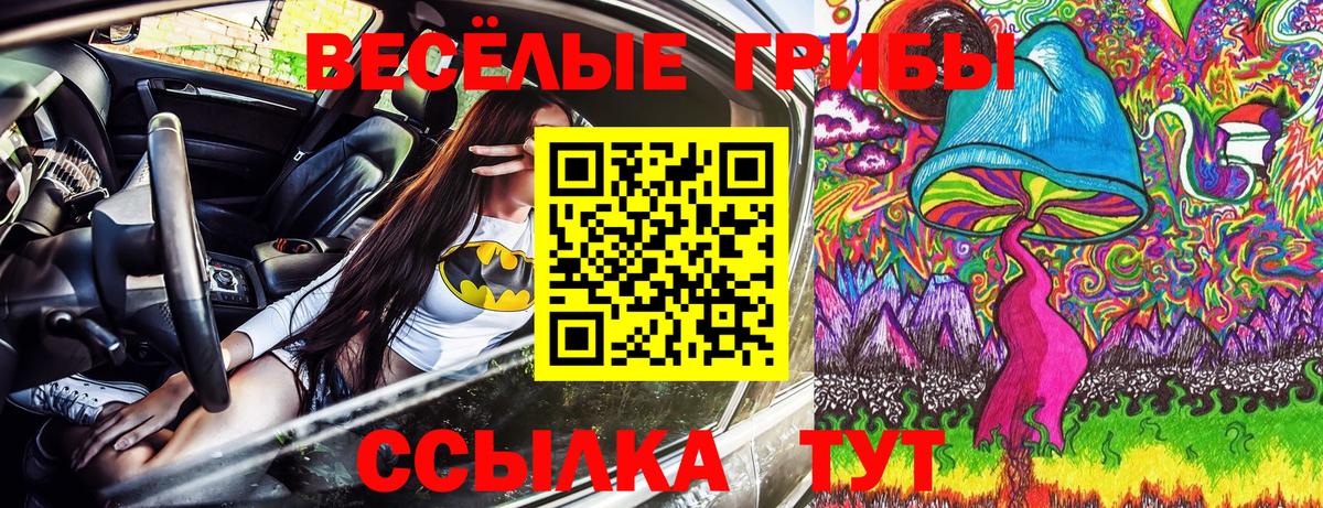 купить   Галлюциногенные грибы Psilocybe  Вход с VPN  Кулебаки 